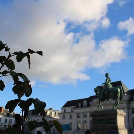 Le Scandinave, Proche Bord De Loire Orléans Exteriör bild