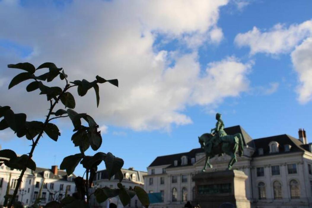 Le Scandinave, Proche Bord De Loire Orléans Exteriör bild