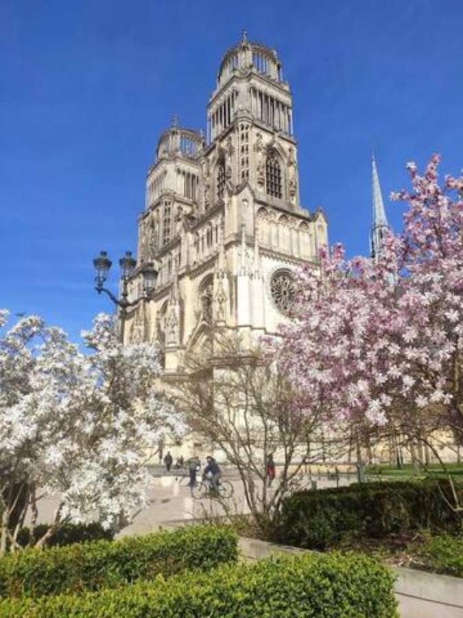 Le Scandinave, Proche Bord De Loire Orléans Exteriör bild